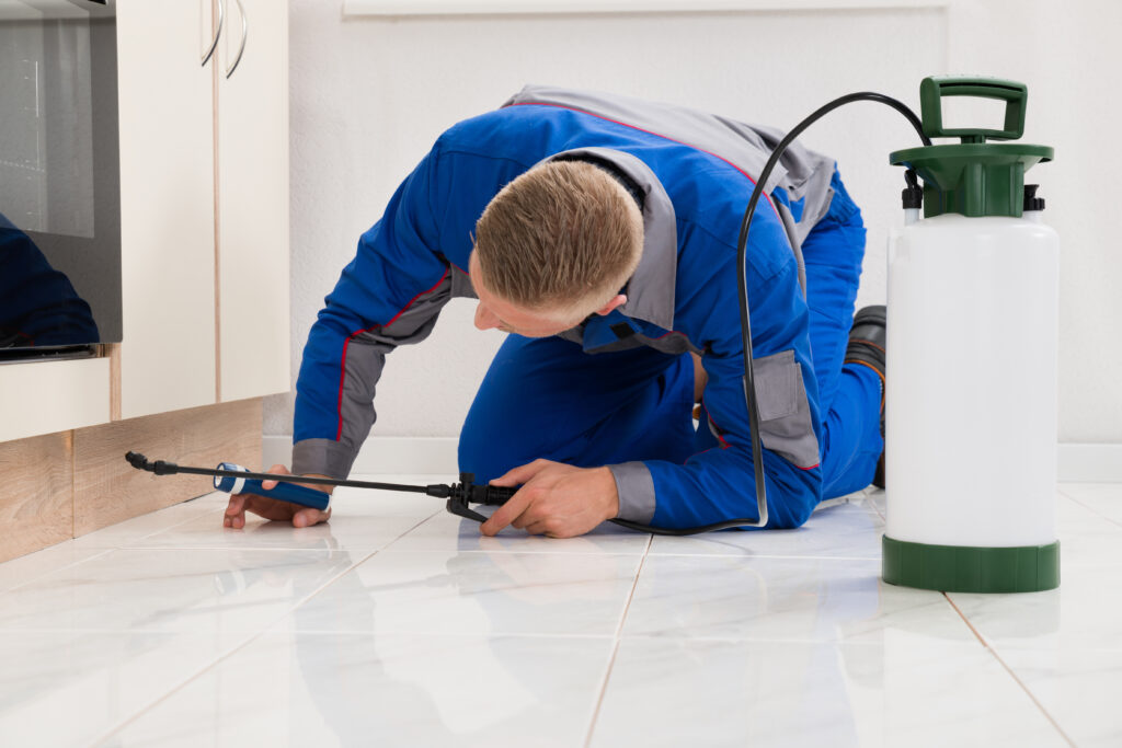 Newark Ant Control Xperts
