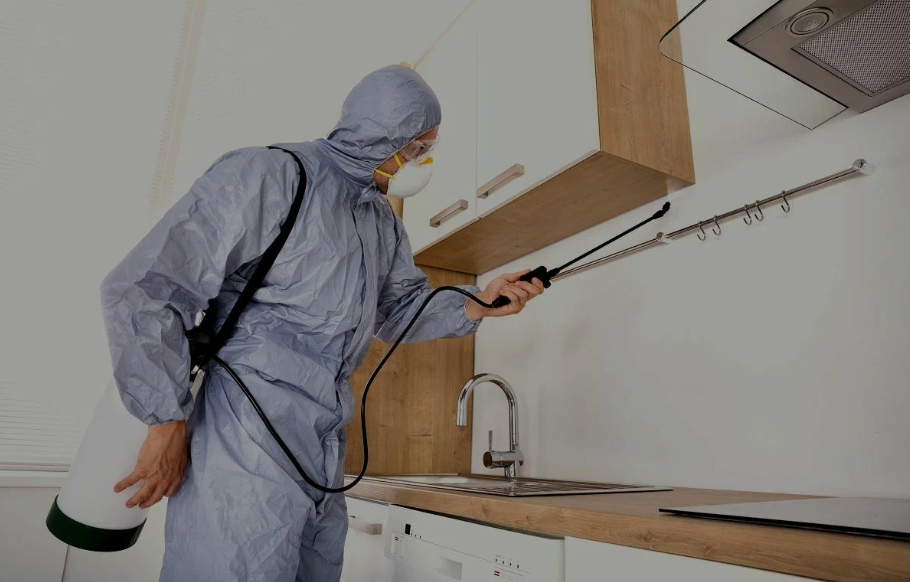 Loma Linda pest managment